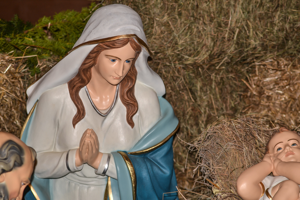 W ZOO czeka żywa szopka 16