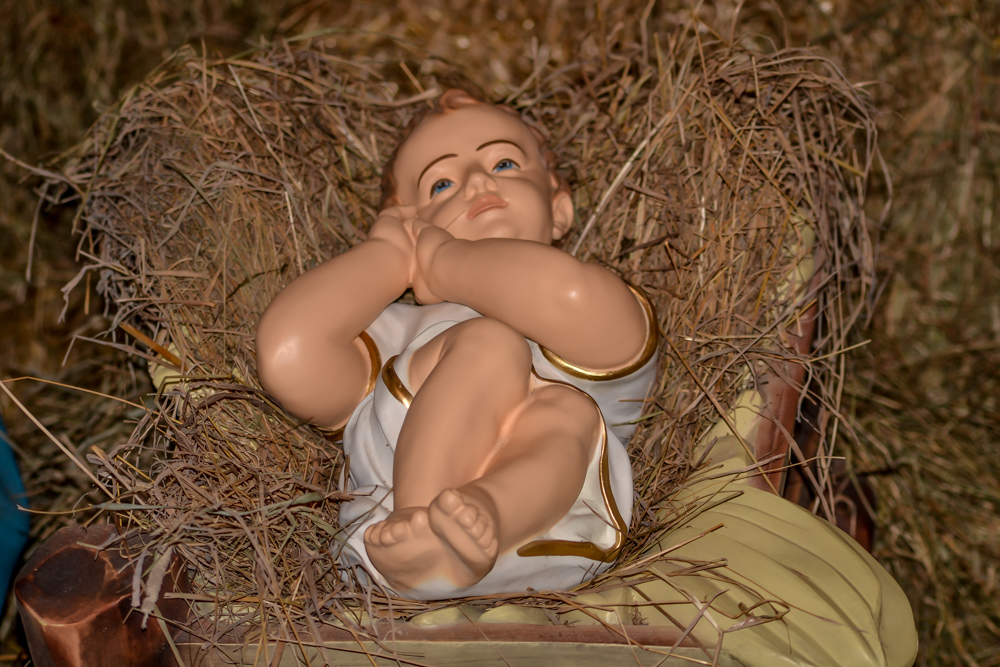 W ZOO czeka żywa szopka 17