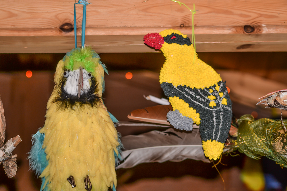 W ZOO czeka żywa szopka 19