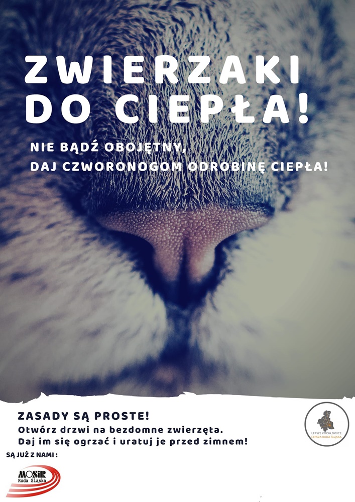Zwierzaki do ciepła - nowa akcja kochłowickiego stowarzyszenia