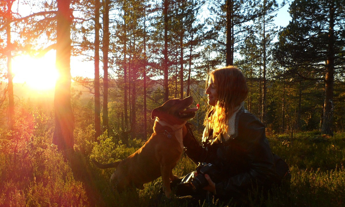 Daj Pieskom Pobiegać, a sobie – adoptować