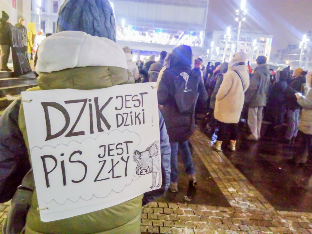 Protestowali w obronie dzików