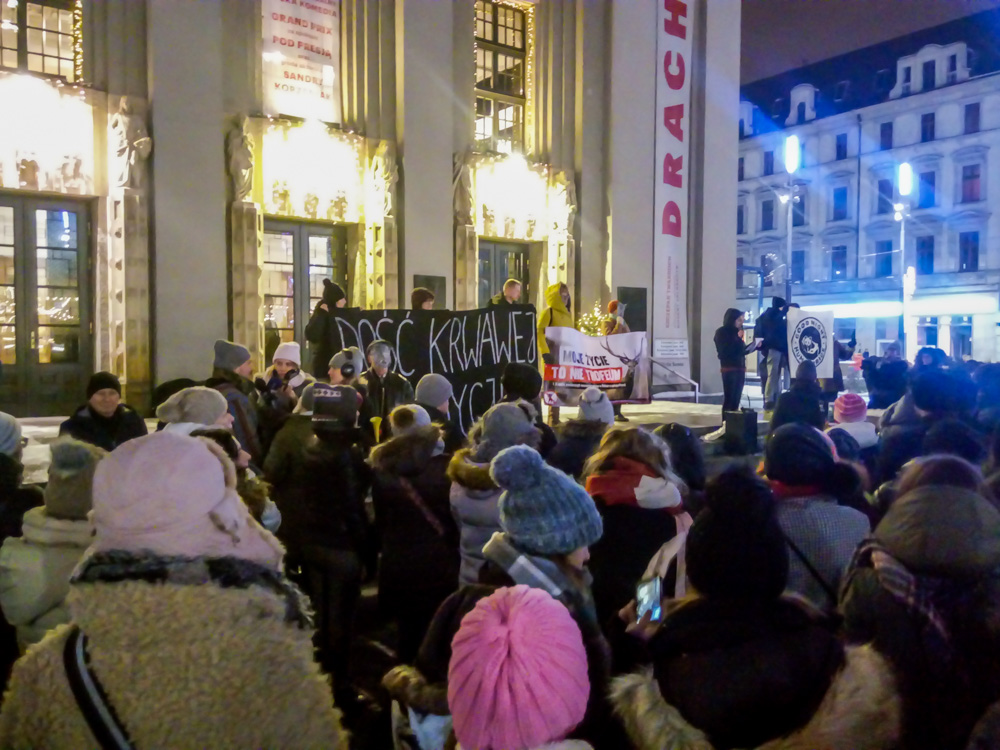 Protestowali w obronie dzików