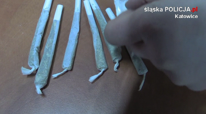 25 osób zatrzymanych z narkotykami w katowickim Spodku