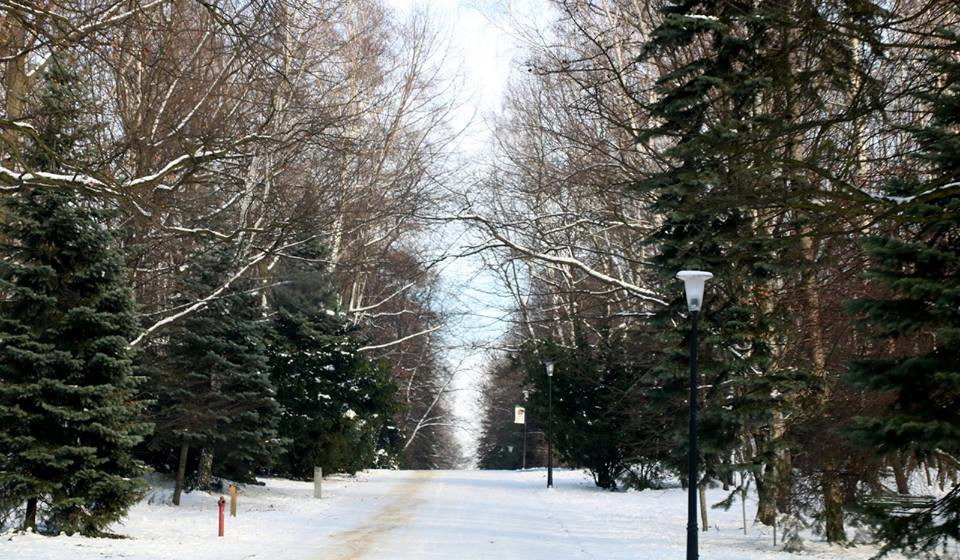 Działacze PiS w nowej radzie Parku Śląskiego