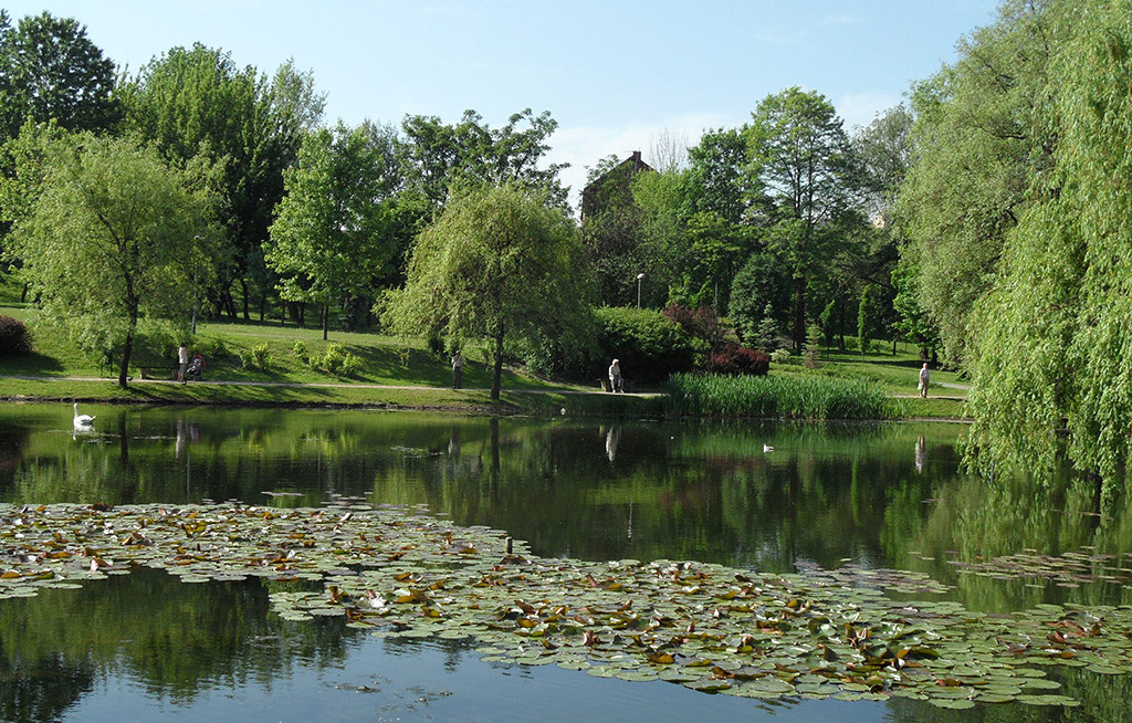 Chorzów: W Parku Róż powstanie ogród botaniczny