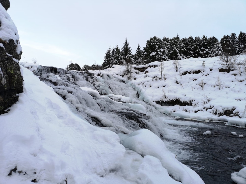 Ruda Śląska w zimowej odsłonie 5