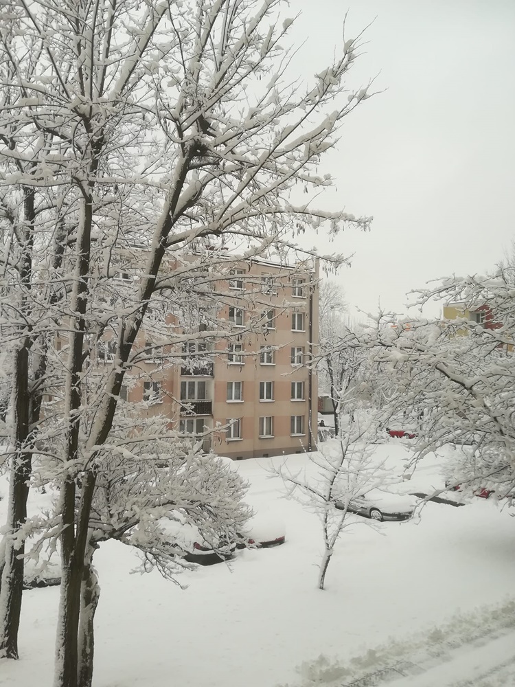 Ruda Śląska w zimowej odsłonie 29