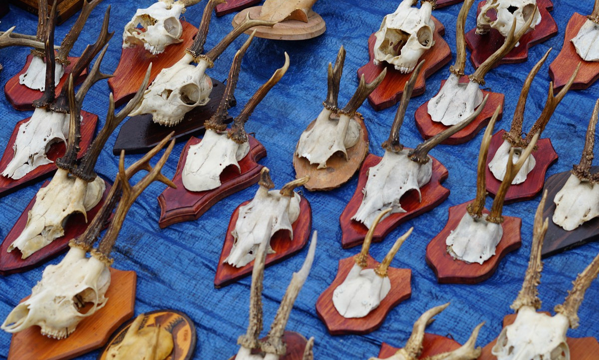 Mikołowski Jarmark Staroci pełen rarytasów. Zobacz zdjęcia!