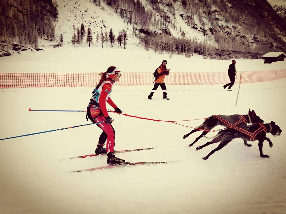 Mikołów ma mistrzynię świata w psich zaprzęgach!