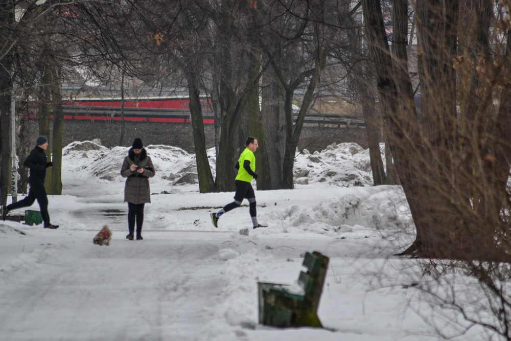 Katowice: 144. parkrun 2019 19