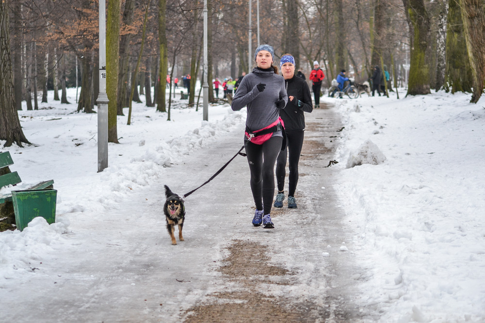 Katowice: 144. parkrun 2019 31