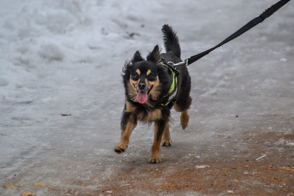 Katowice: 144. parkrun 2019 32