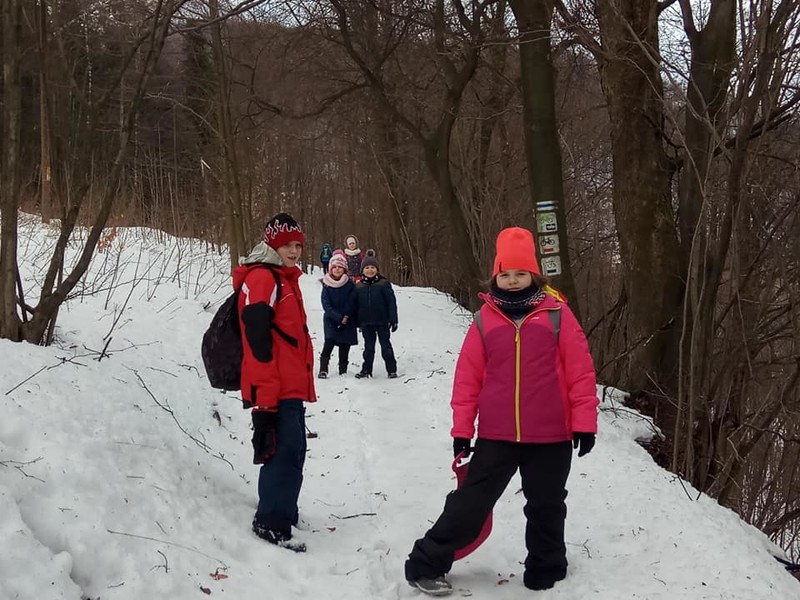 Świętochłowicki oddział PTTK pojechał na sanki do Wisły