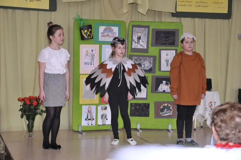 Ślonzoki Niy Gynsi 8