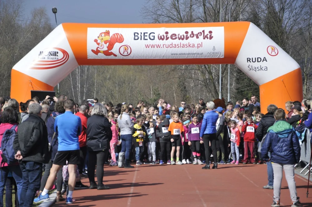 Bieg Wiewiórki 2