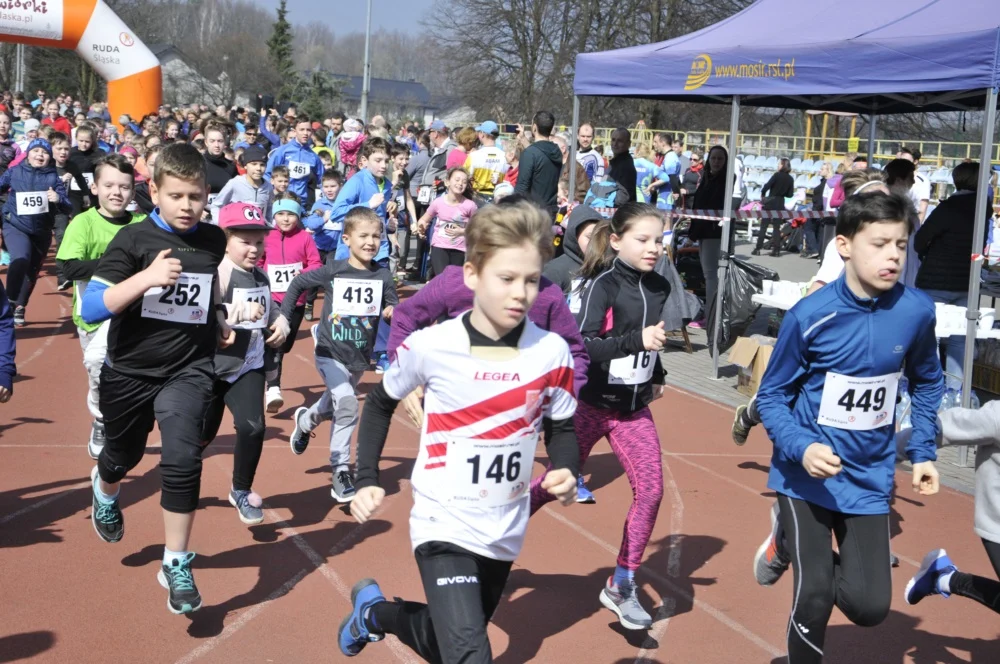 Bieg Wiewiórki 7