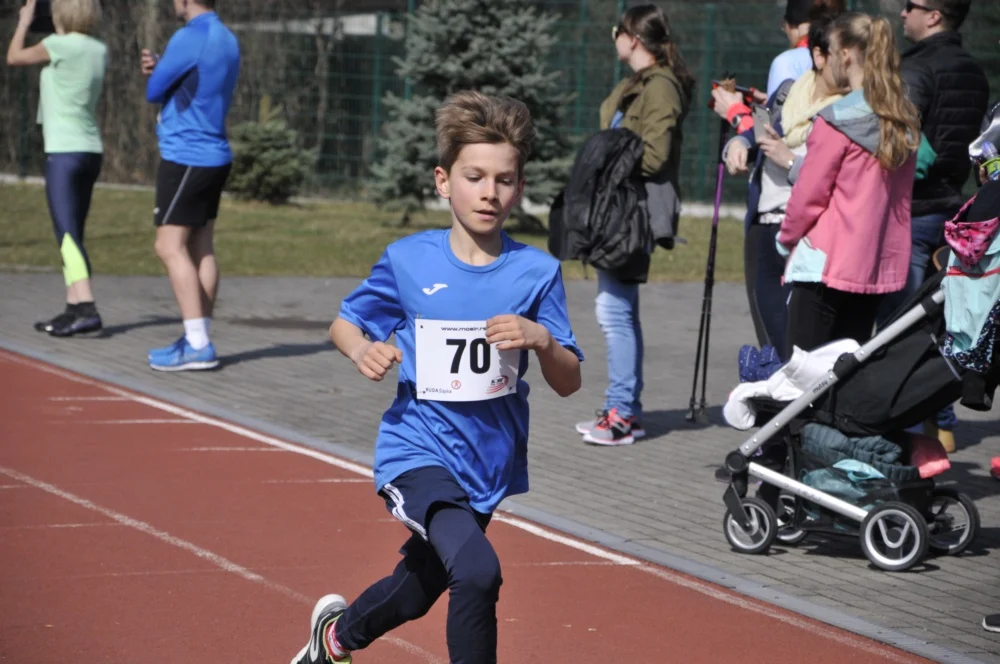 Bieg Wiewiórki 24