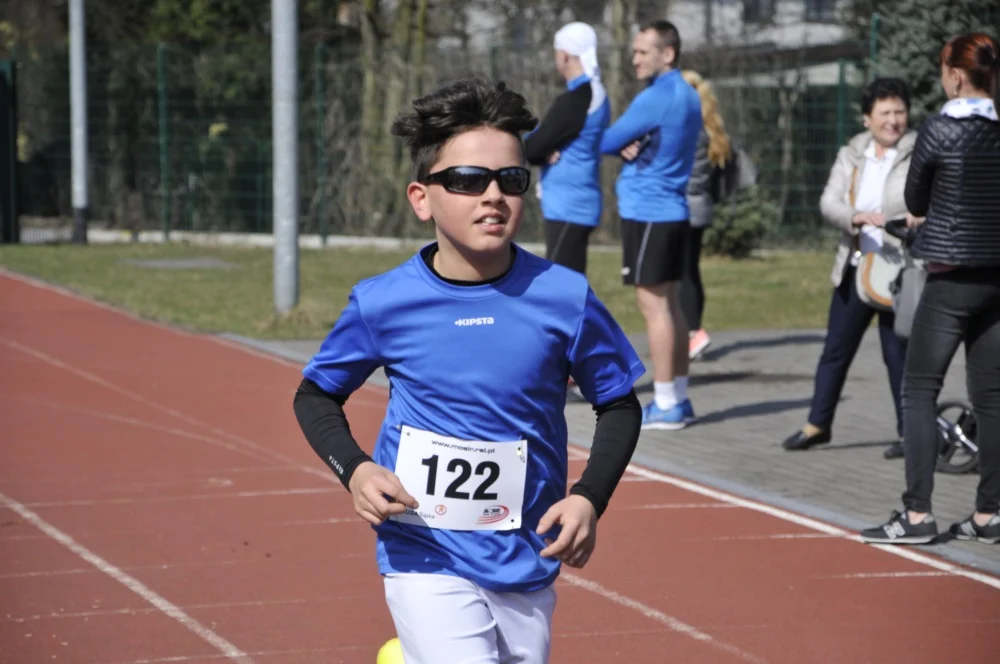 Bieg Wiewiórki 31