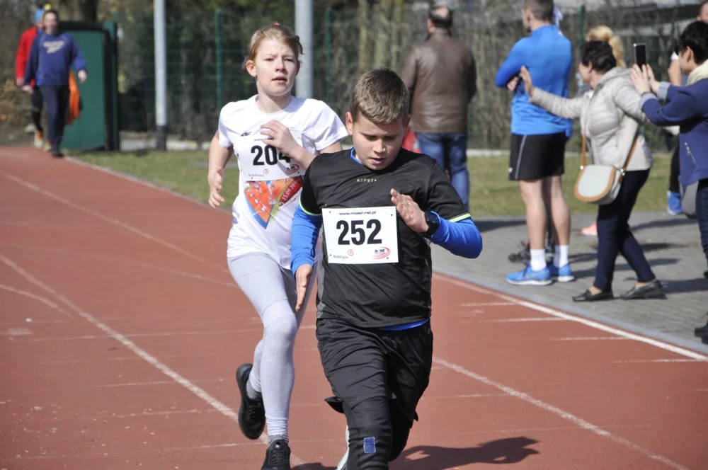 Bieg Wiewiórki 35