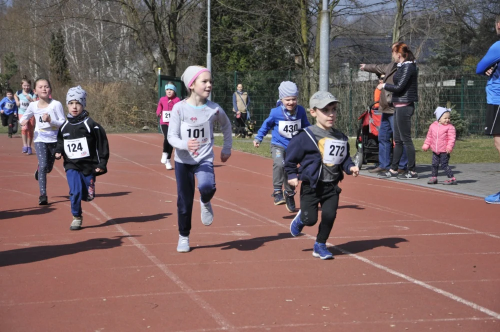 Bieg Wiewiórki 43