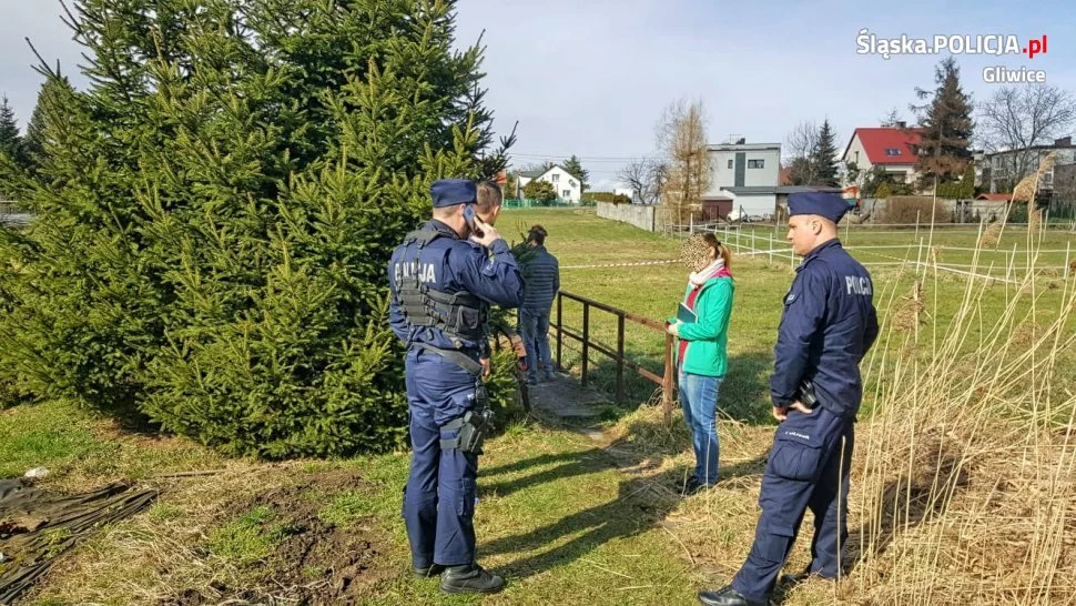 Ludzki płód znaleziony w potoku w Ostropie