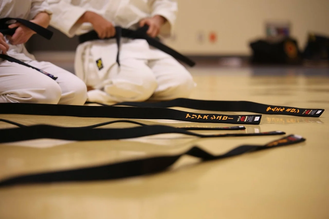 Mistrzostwa Śląska w Karate Kyokushin - 6 medali dla sosnowieckich karateków