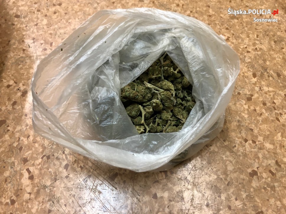 23-letni diler niósł w reklamówce pół kilograma amfetaminy