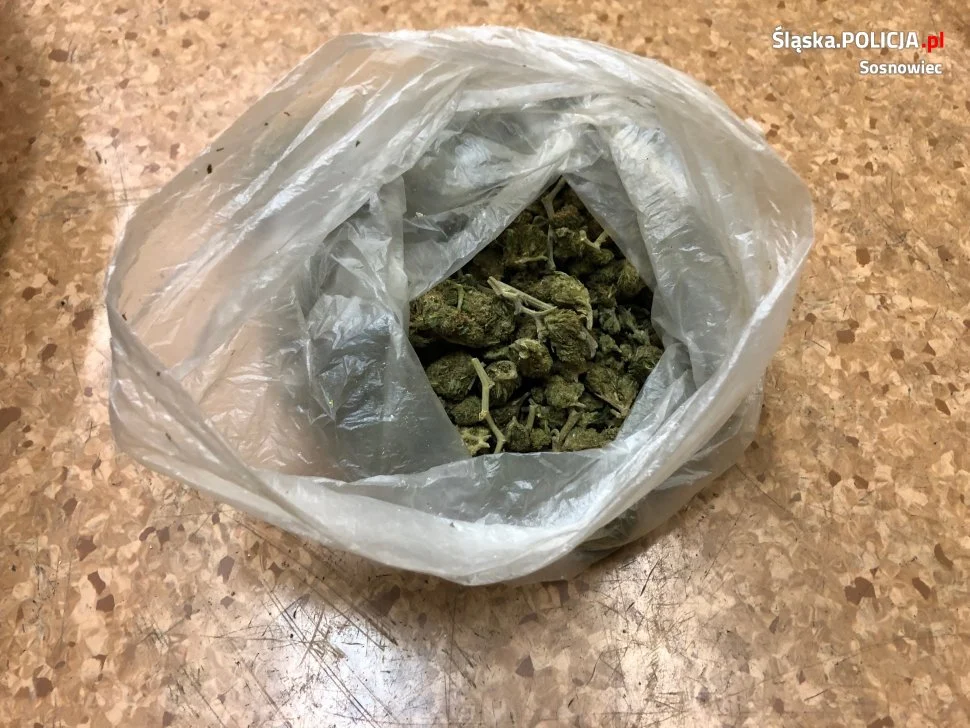 23-letni diler niósł w reklamówce pół kilograma amfetaminy