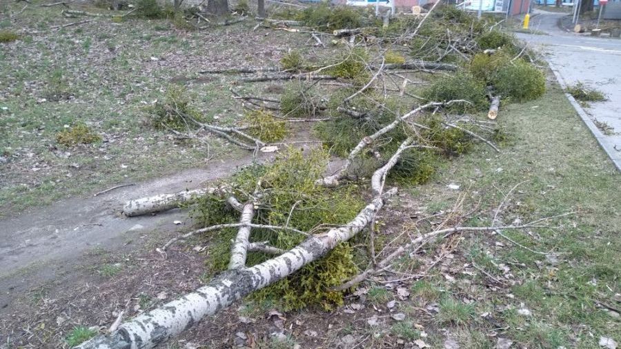 Wichura w Mikołowie: ponad 80 interwencji straży pożarnej, są zniszczenia