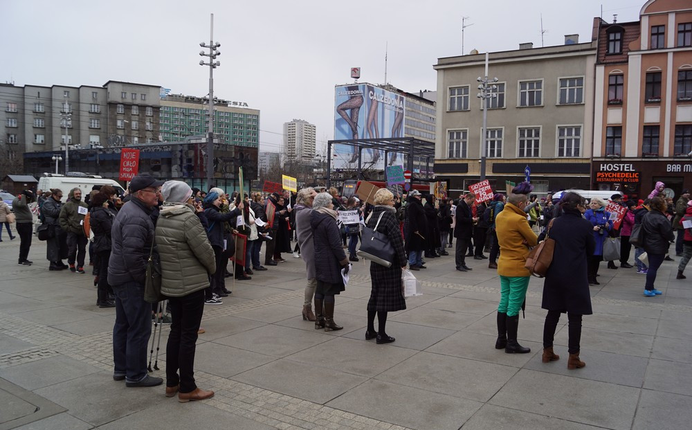 zdjecia_slaska_manifa 17