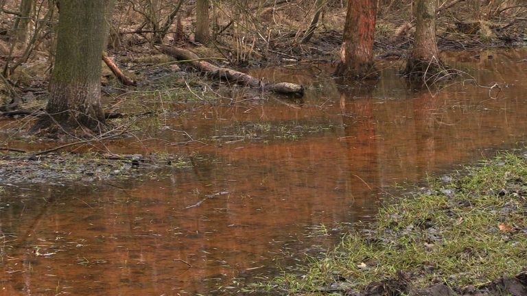 Jest fedrowanie pod Doliną Trzech Stawów, ruszy wydobycie węgla pod Muchowcem?