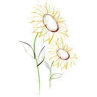 Wolontariat w MOPS Katowice - Program "Słonecznik"