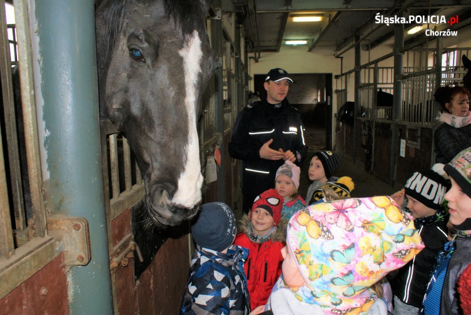 Przedszkolaki odwiedziły chorzowskich konnych
