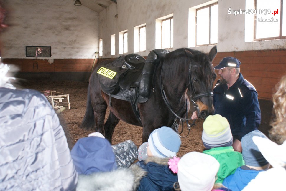 Przedszkolaki odwiedziły chorzowskich konnych