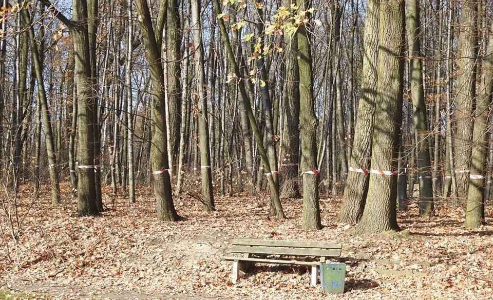 Niezależny Chorzów walczy o tereny po MTK. Petycja do wiceministra energii