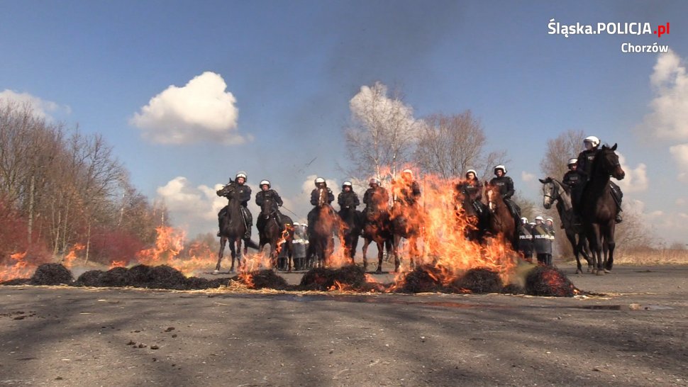 Wspólne ćwiczenia z nieetatowym pododdziałem chorzowskiej policji
