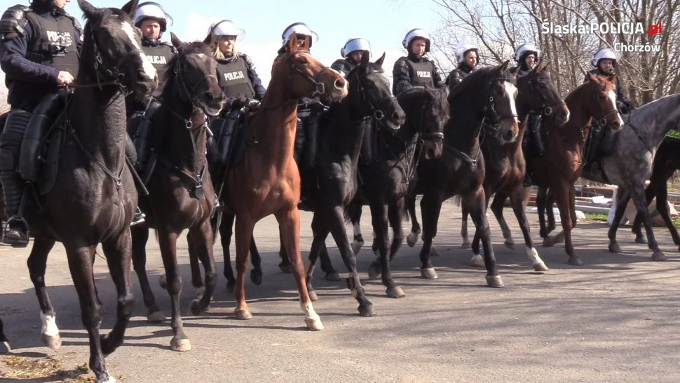 Wspólne ćwiczenia z nieetatowym pododdziałem chorzowskiej policji