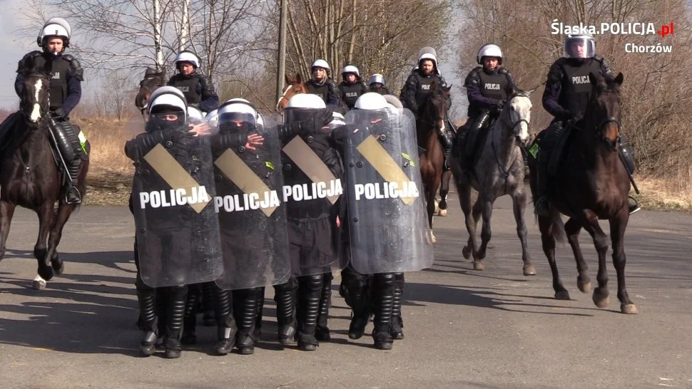Wspólne ćwiczenia z nieetatowym pododdziałem chorzowskiej policji