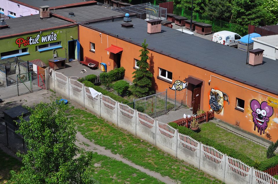 Zabrze: Oto planowane inwestycje w 2019 roku