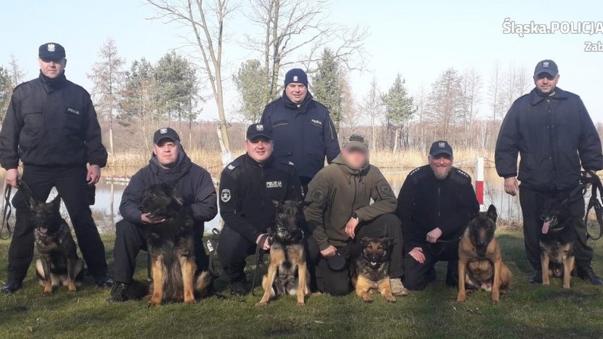 Diana się szkoli! Policyjny pies z zabrzańskiej jednostki doskonali umiejętności