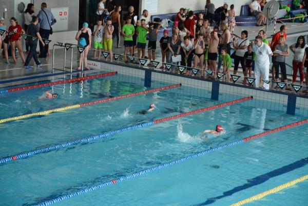 IX Zabrzański Mityng Pływacki