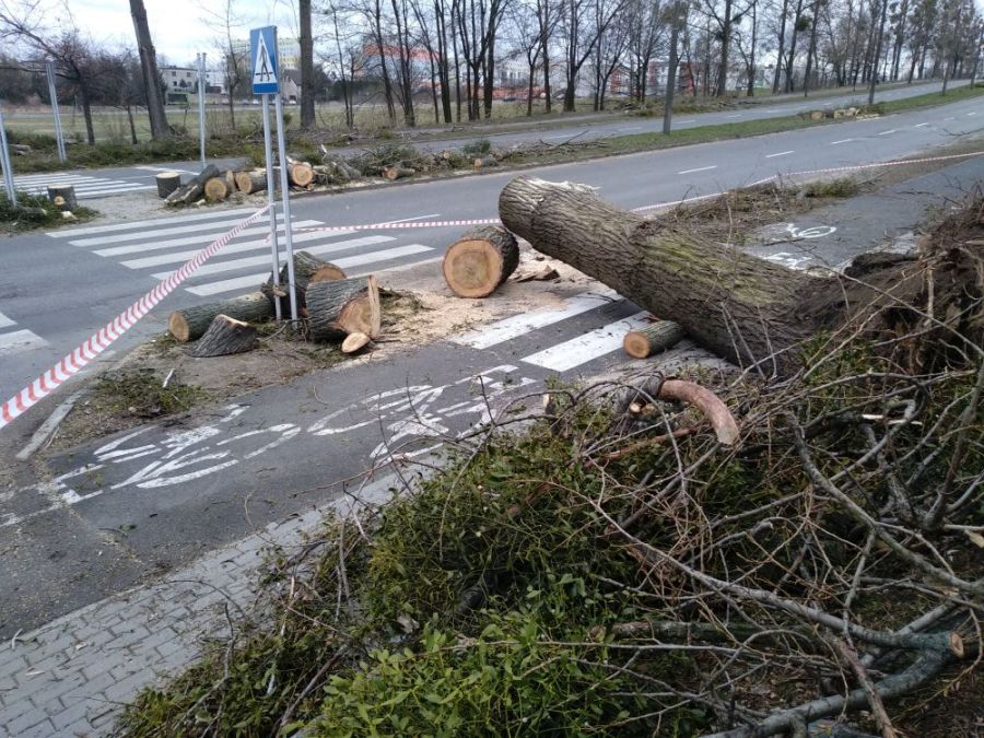 Porywisty wiatr w Żorach – zobacz szkody i zniszczenia