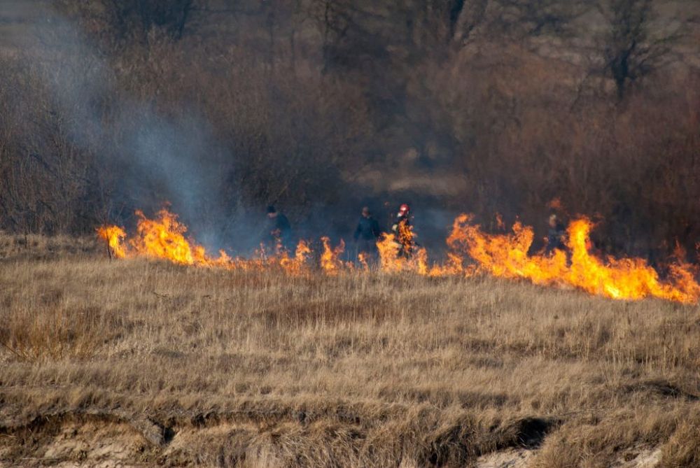 W 2018 r. żorscy strażacy ugasili 47 pożarów traw. Ile będzie w tym roku?