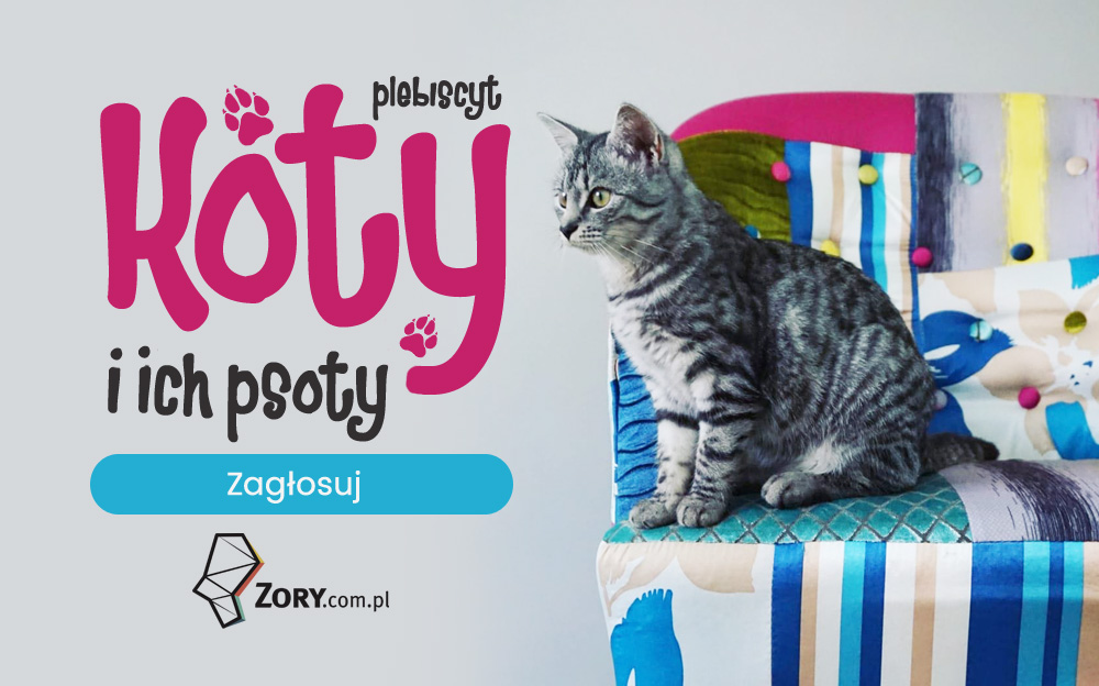 Koty i ich psoty - zagłosuj w plebiscycie na najfajniejszego kota Żor