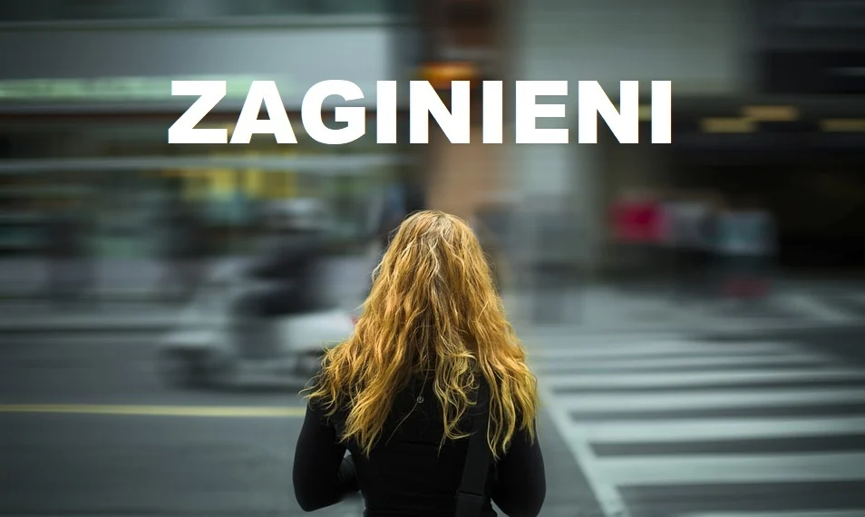 Ruda Śląska: Dziesięciu mieszkańców miasta w bazie zaginionych śląskiej policji