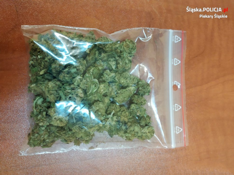 Mieszkaniec Piekar Śląskich zatrzymany z marihuaną