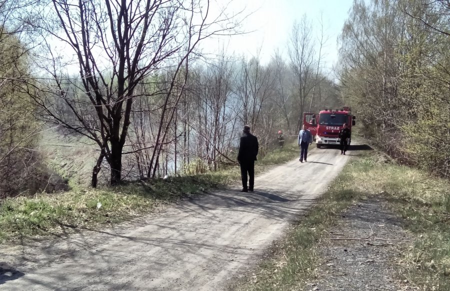 Służby miejskie reagują na każde zgłoszenie dotyczące nielegalnych odpadów