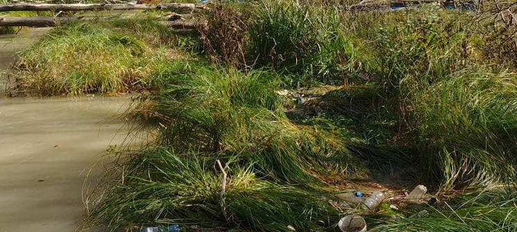 Sprzątanie rzek Sztoła i Biała Przemsza