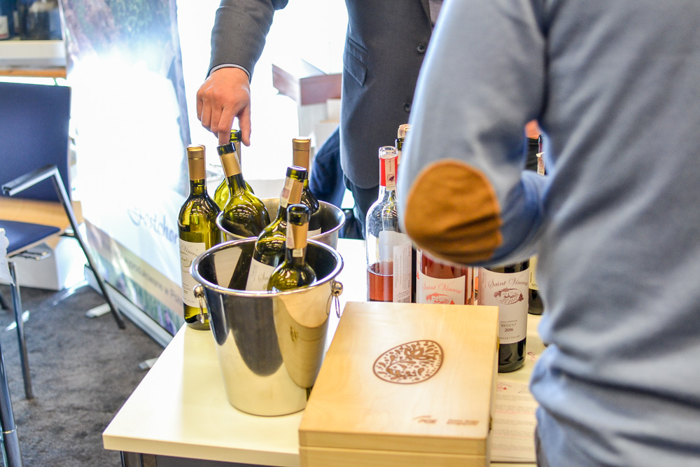 VI Noe Festiwal w Katowicach 8